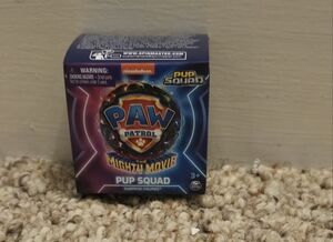 Paw Patrol Pup Squad Surprise Figures